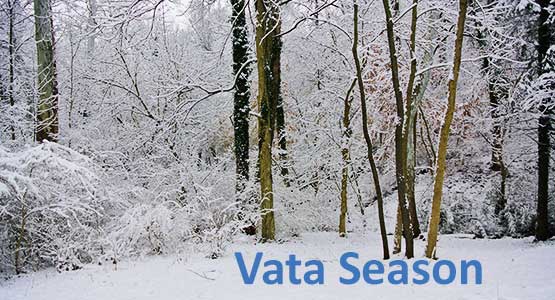 What is Vata Season?