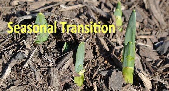 Maintaining Your Health During the Spring Seasonal Transition